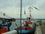 barge b1