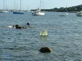 DSCF0032